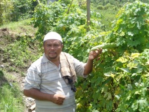 TGH Najamudin saat menunjukkan buah Pare  miliknya yang berhasil tahun ini