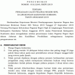 Seleksi CPNS Kabupaten Sumbawa 2019