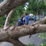 IMG-20200106-WA0001