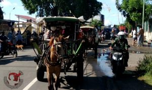 PicsArt_05-22-02.41.31